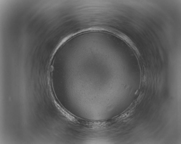 X0000052570958200507081658