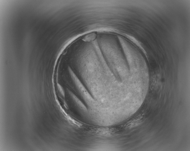 X0000052570959200507081658