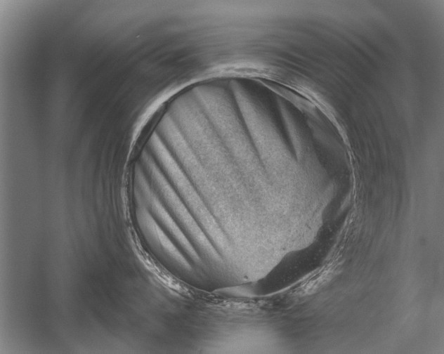 X0000052570960200507081658