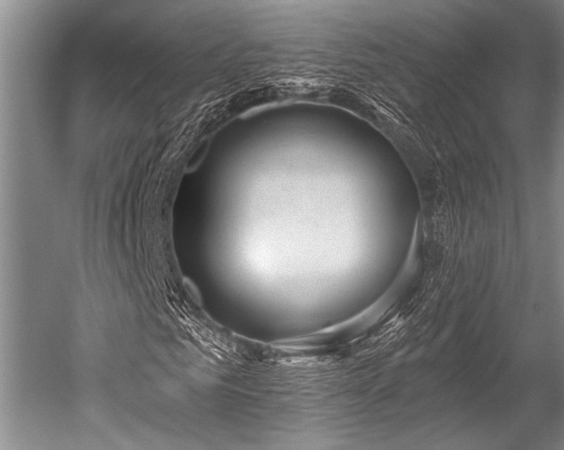 X0000052570961200507081657