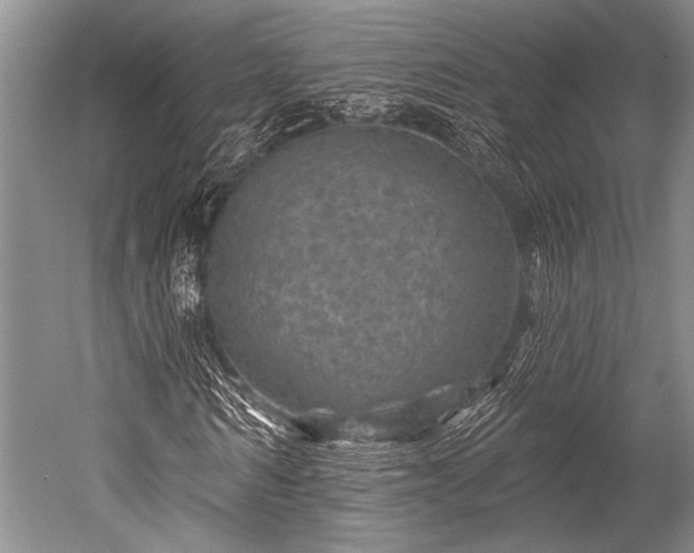 X0000052570962200507081657