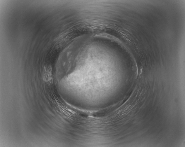 X0000052570963200507081657