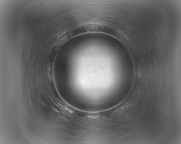 X0000052570964200507081657