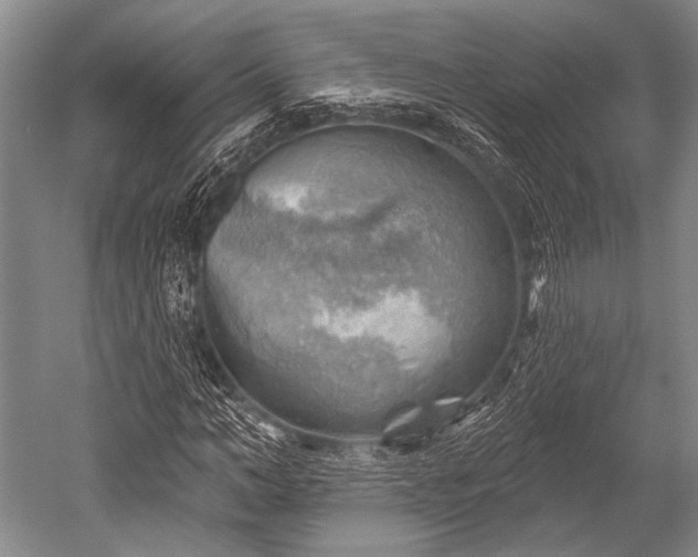 X0000052570966200507081657