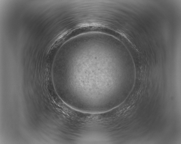 X0000052570967200507081657