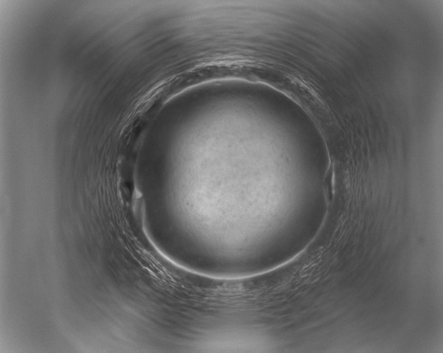 X0000052570968200507081657