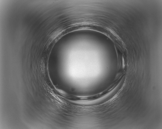 X0000052570969200507081657