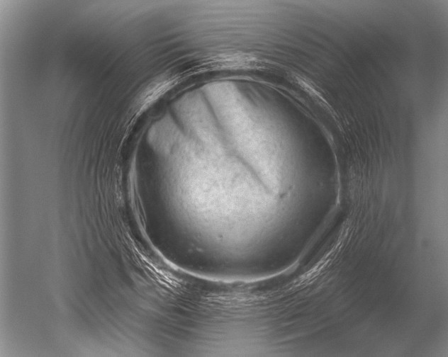 X0000052570970200507081657