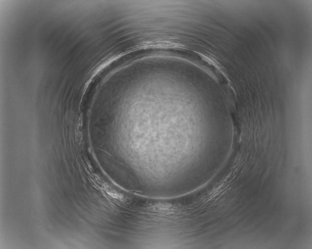 X0000052570971200507081657