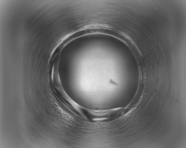 X0000052570973200507081657