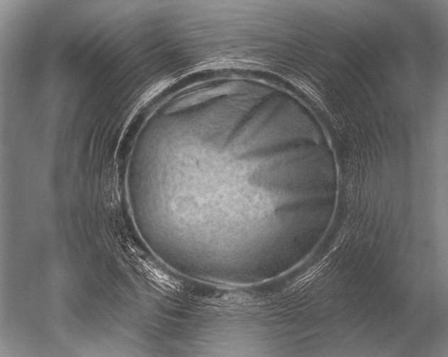 X0000052570974200507081657