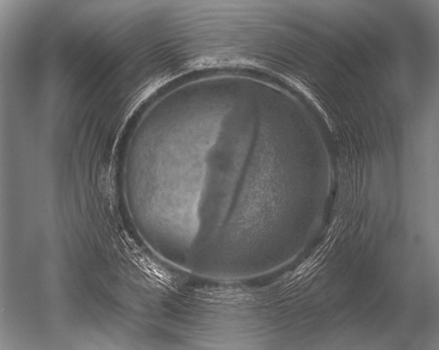 X0000052570975200507081657