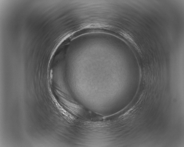 X0000052570976200507081657