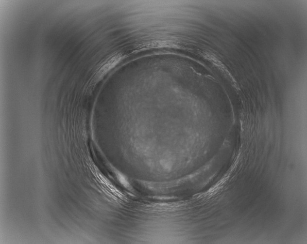 X0000052570977200507081657