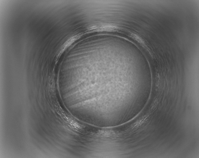 X0000052570978200507081657