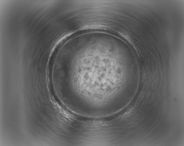 X0000052570979200507081657