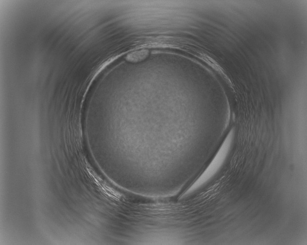 X0000052570980200507081657