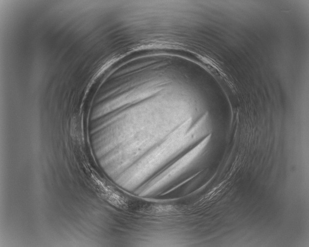 X0000052570982200507081657