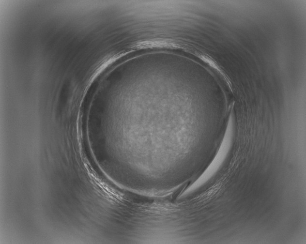 X0000052570983200507081657