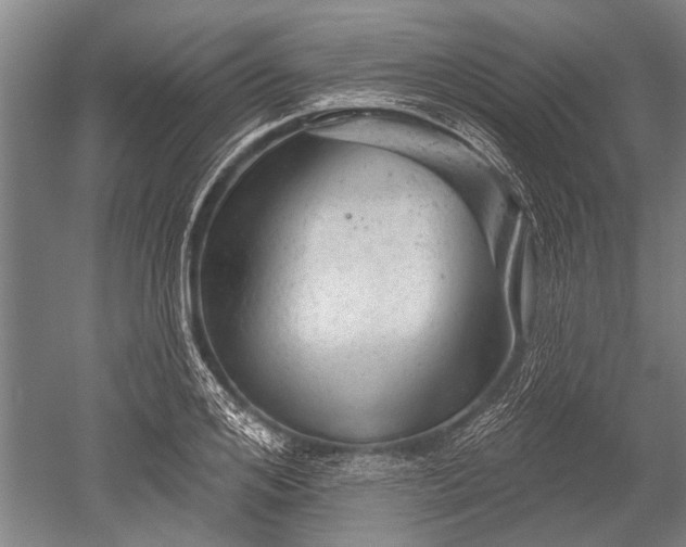 X0000052570984200507081657