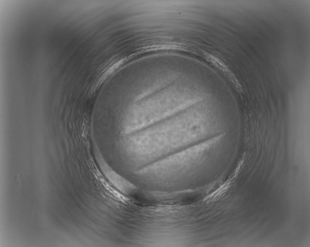 X0000052570985200507081657