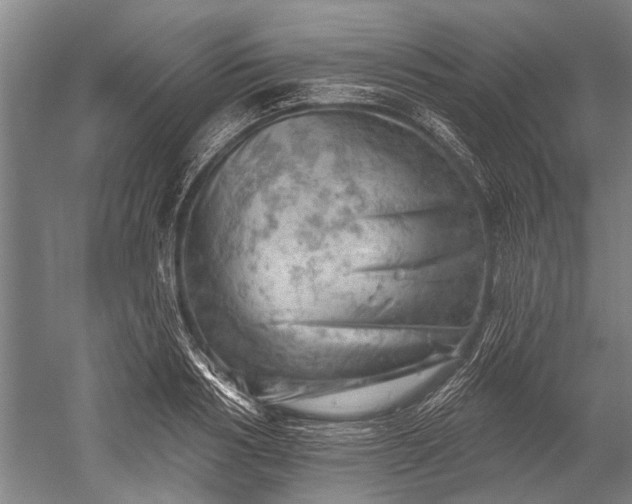 X0000052570986200507081657