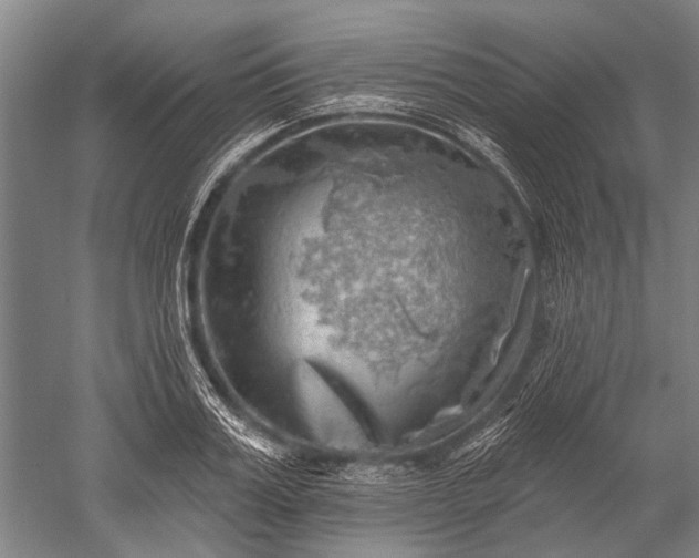 X0000052570987200507081657