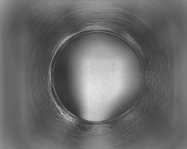 X0000052570988200507081657