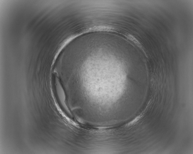 X0000052570989200507081657