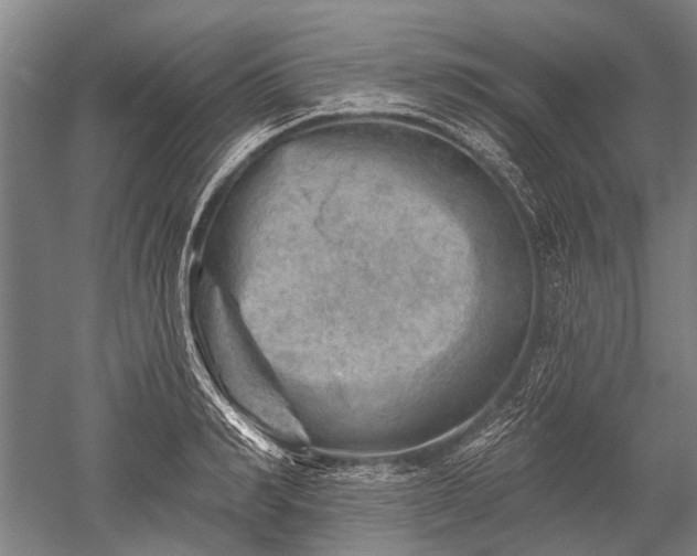 X0000052570990200507081657