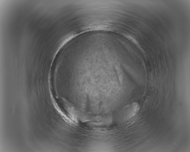 X0000052570991200507081657