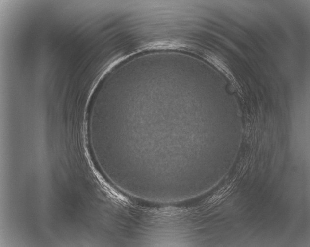 X0000052570992200507081657