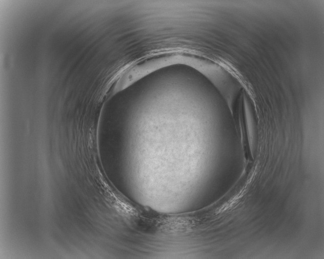 X0000052570993200507081657