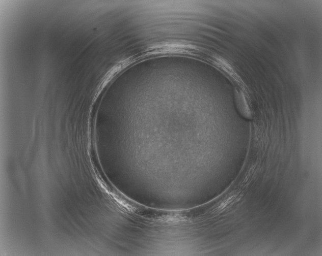 X0000052570994200507081657