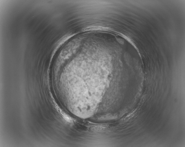 X0000052570995200507081657