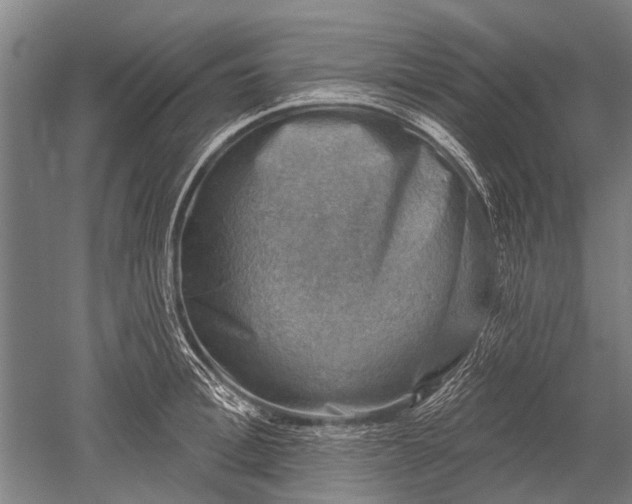 X0000052570996200507081657