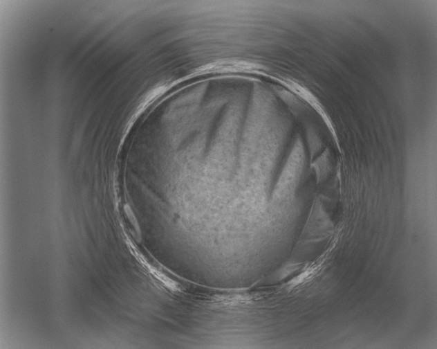 X0000052570997200507081657