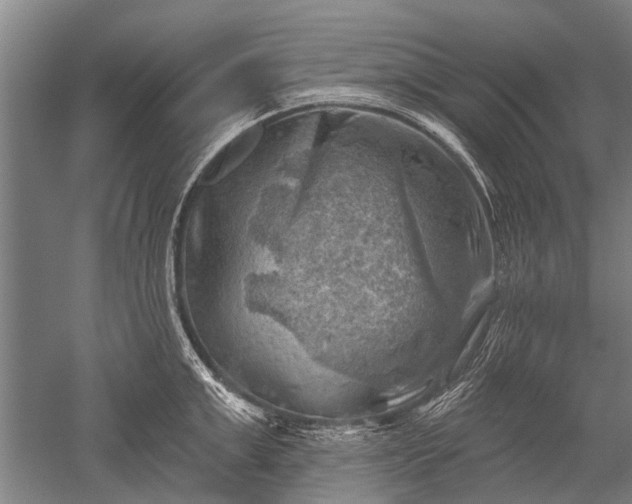 X0000052570999200507081657