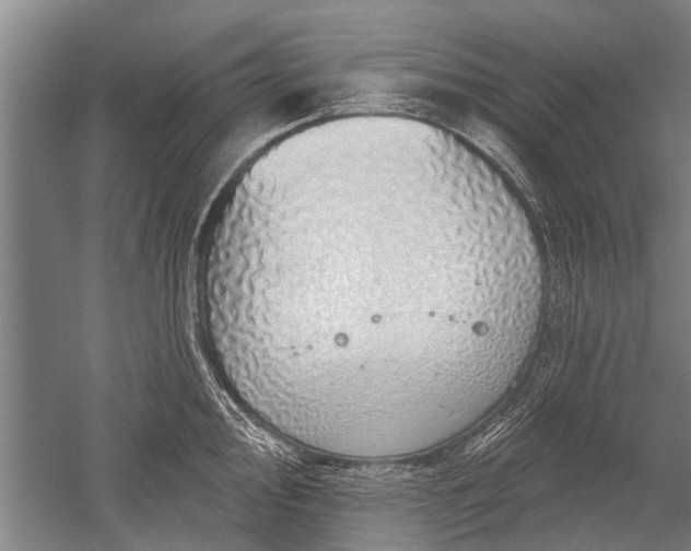 X0000052571000200507081657