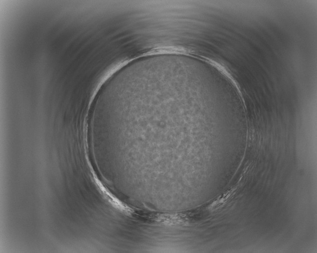 X0000052571003200507081657