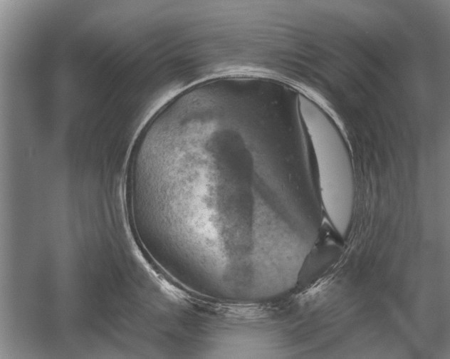 X0000052571007200507081657