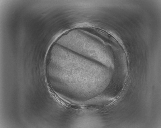 X0000052571008200507081657