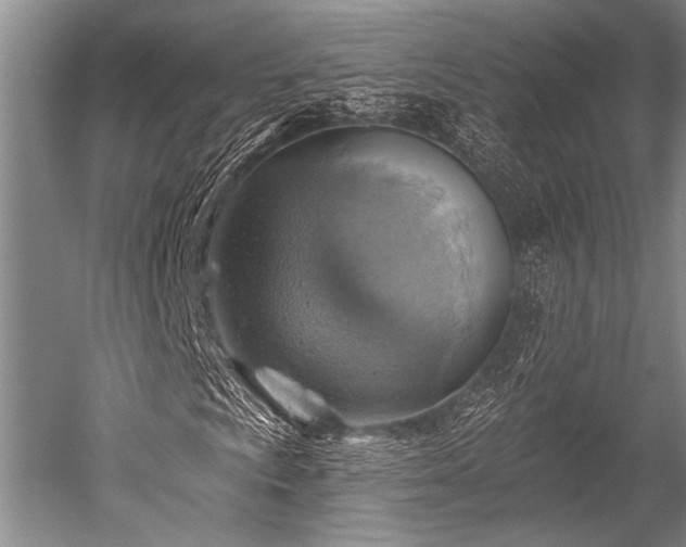 X0000052571009200507081656