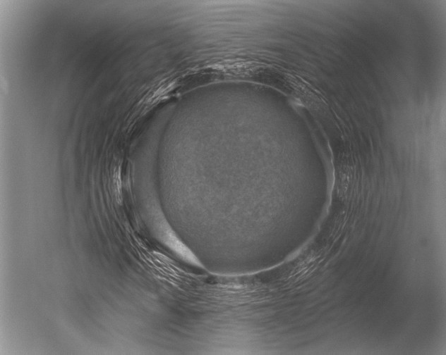 X0000052571010200507081656