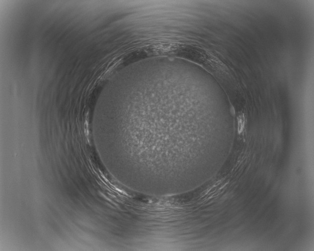 X0000052571011200507081656