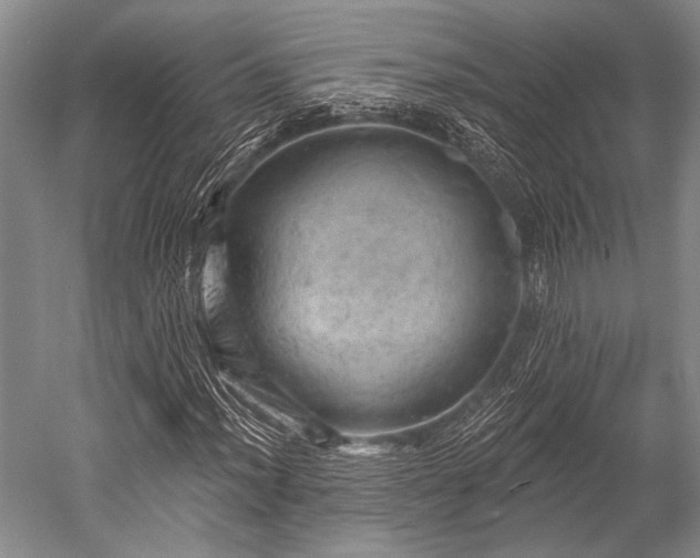 X0000052571012200507081656