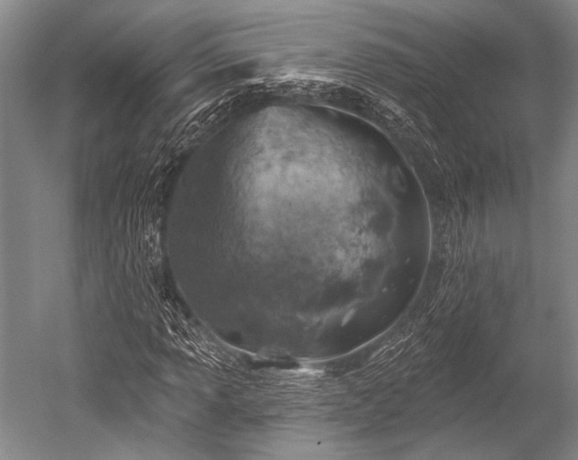 X0000052571013200507081656