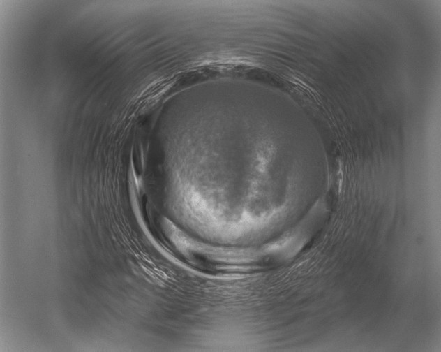 X0000052571014200507081656