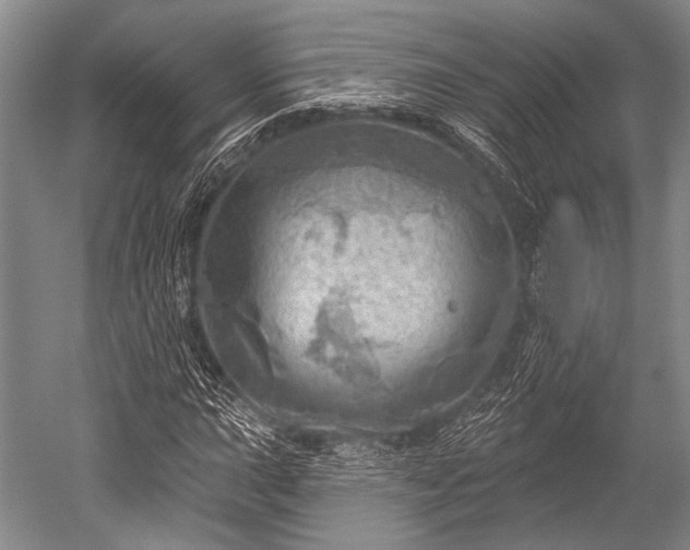 X0000052571015200507081656