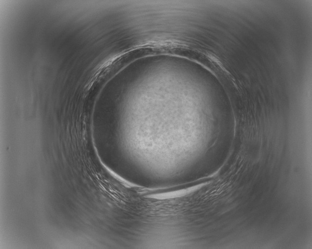 X0000052571016200507081656